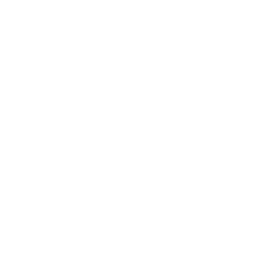 GitHub Logo